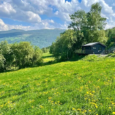 Koselig Gardshus * To (Oppland)